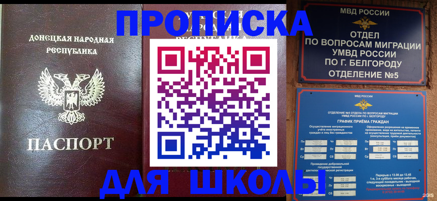 прописка для работы в Кашине